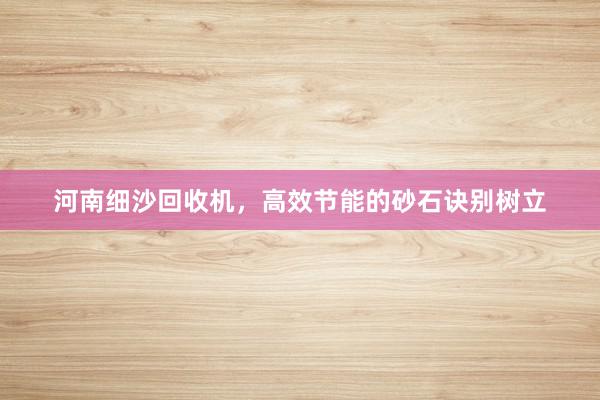 河南细沙回收机，高效节能的砂石诀别树立