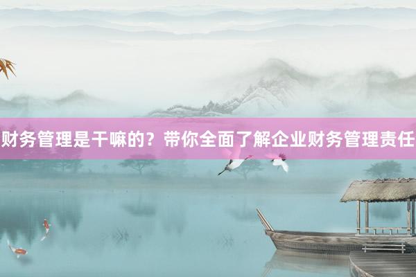 财务管理是干嘛的？带你全面了解企业财务管理责任