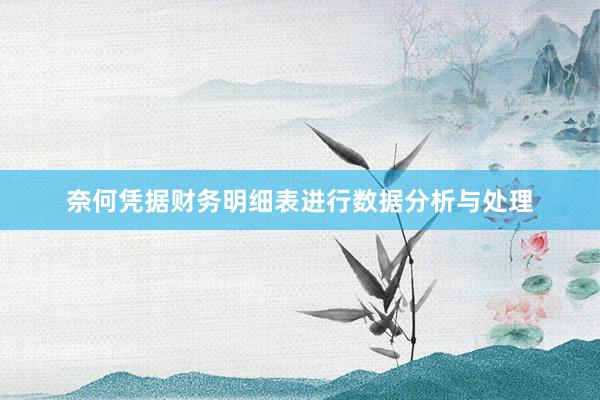 奈何凭据财务明细表进行数据分析与处理