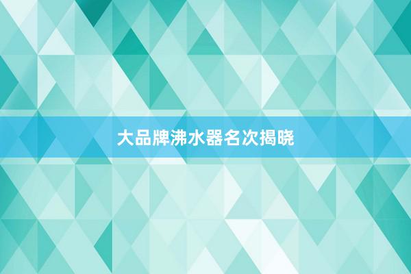 大品牌沸水器名次揭晓