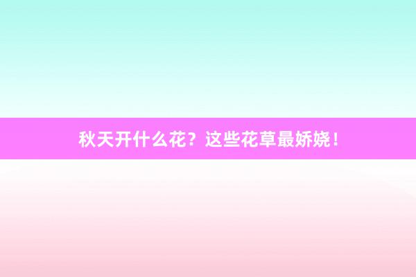 秋天开什么花？这些花草最娇娆！